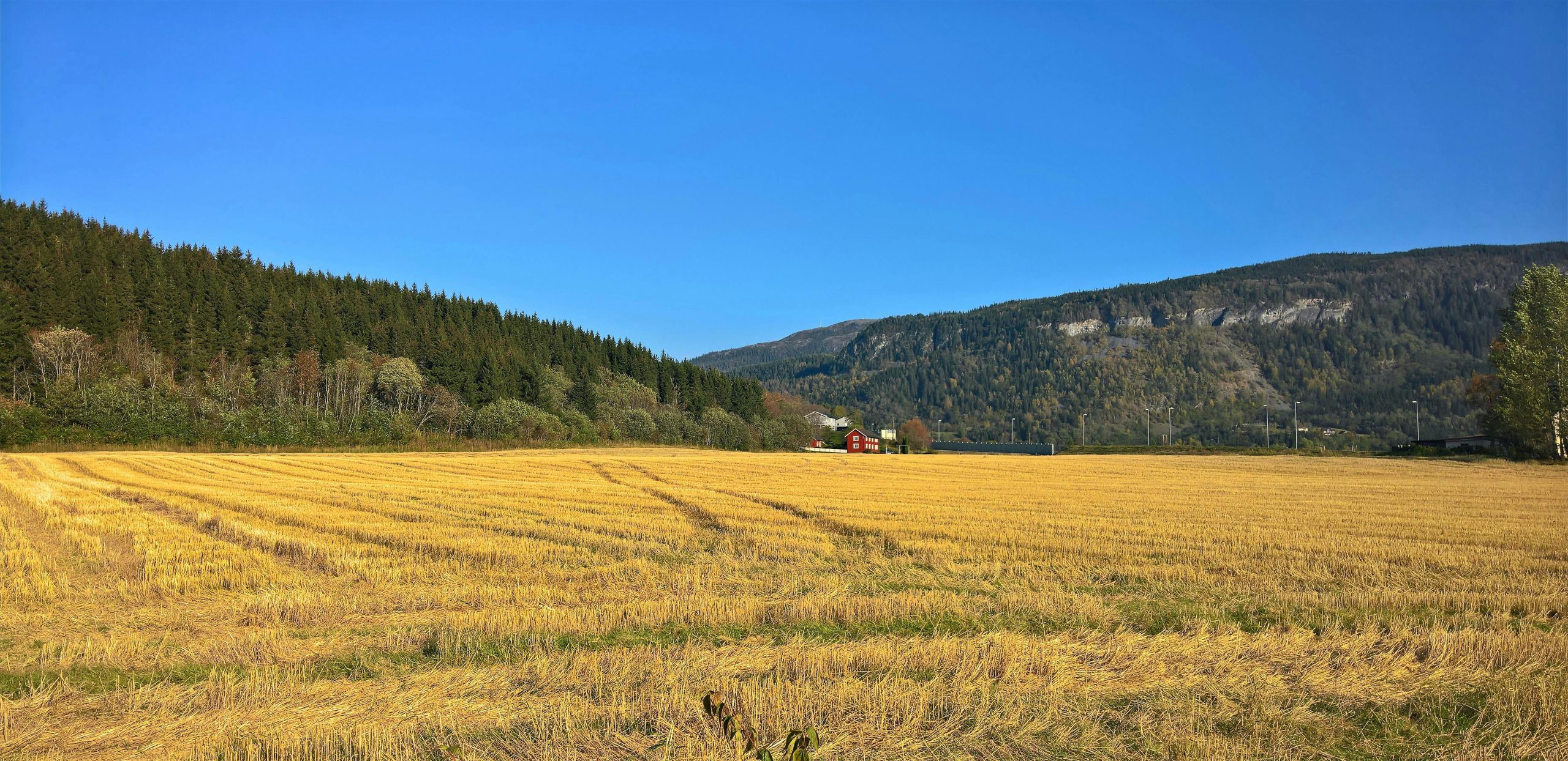 Image of field in rural setting